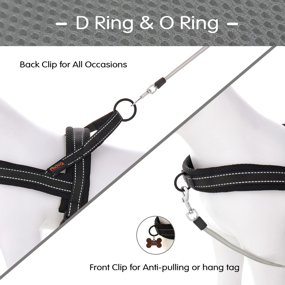 Didog No Pull Harness in size L fits 26–32 inch chests.
