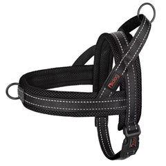 Didog No Pull Harness with soft mesh padding for comfortable walks.