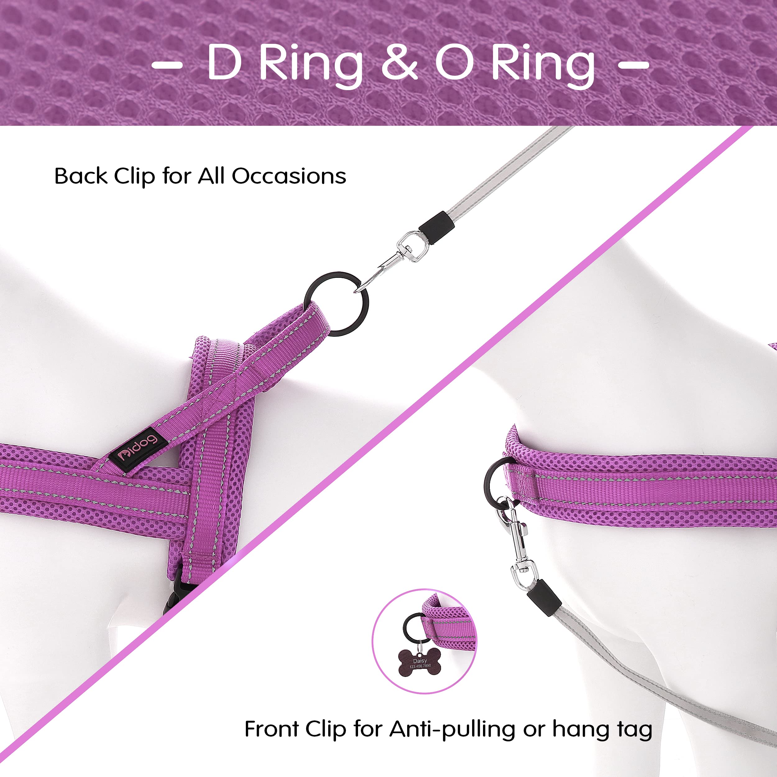 Didog No-Pull Harness top-ring for casual walking