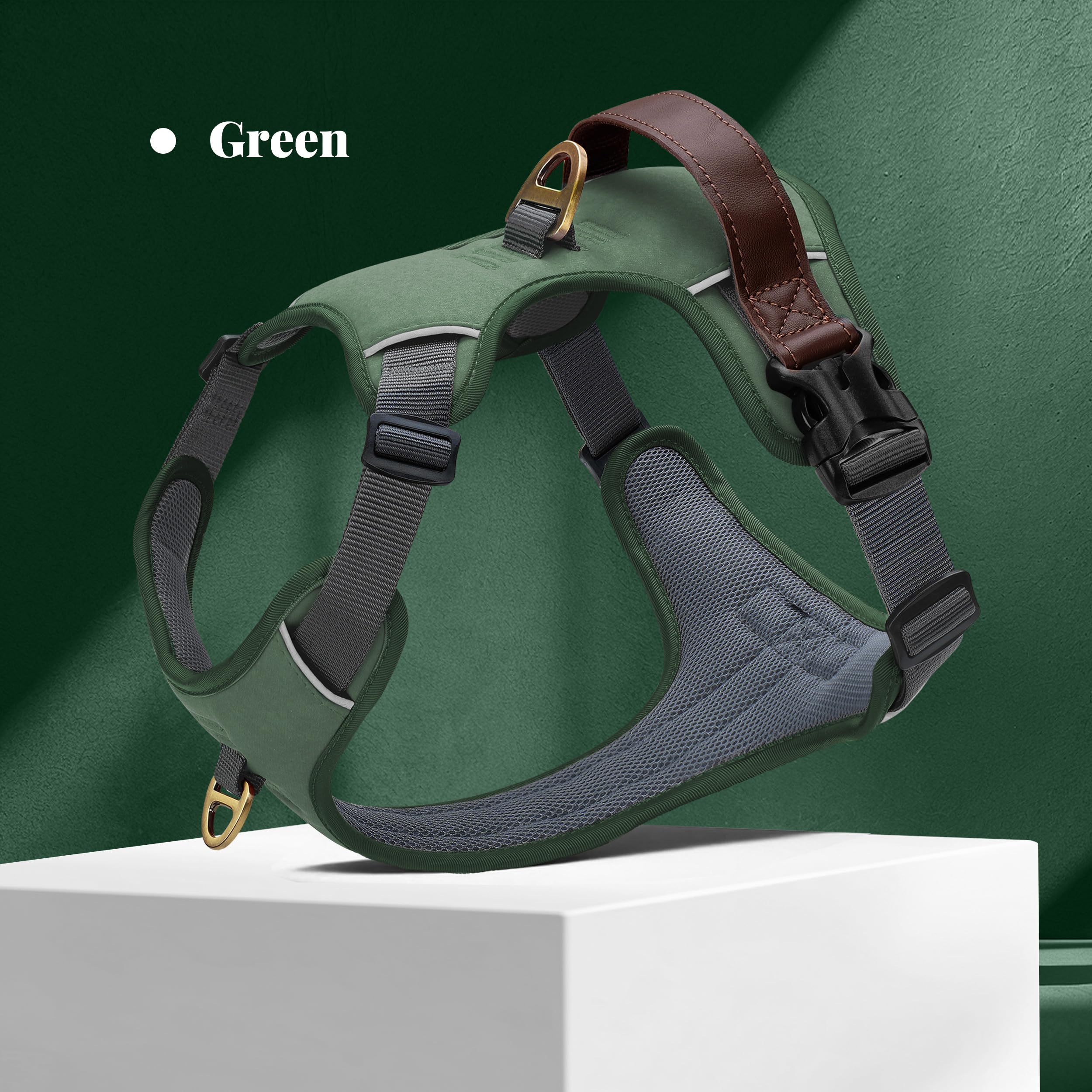 Didog No Pull Harness walking setup in green pairs with accessories.