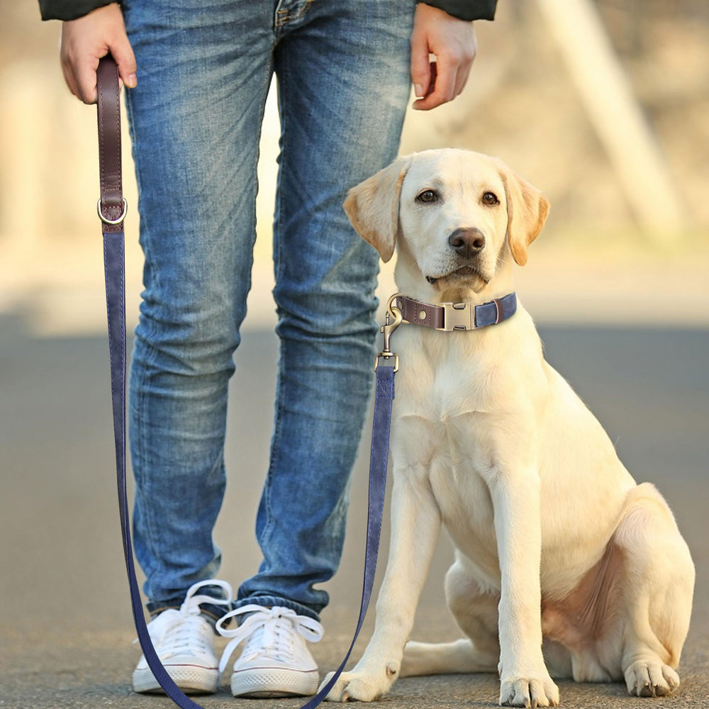 Close-up of Didog padded handle for comfortable grip during outings.