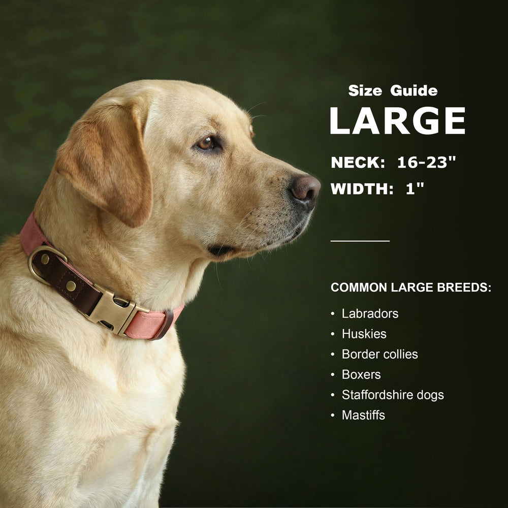 Didog pink adjustable collar—16 to 23 inches for large dogs.