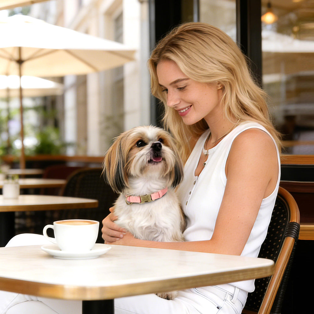 Didog adjustable collar for comfortable, growing neck sizes.