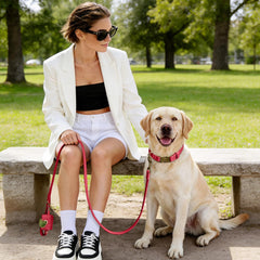 Didog PU leather collar is easy to clean after outdoor adventures