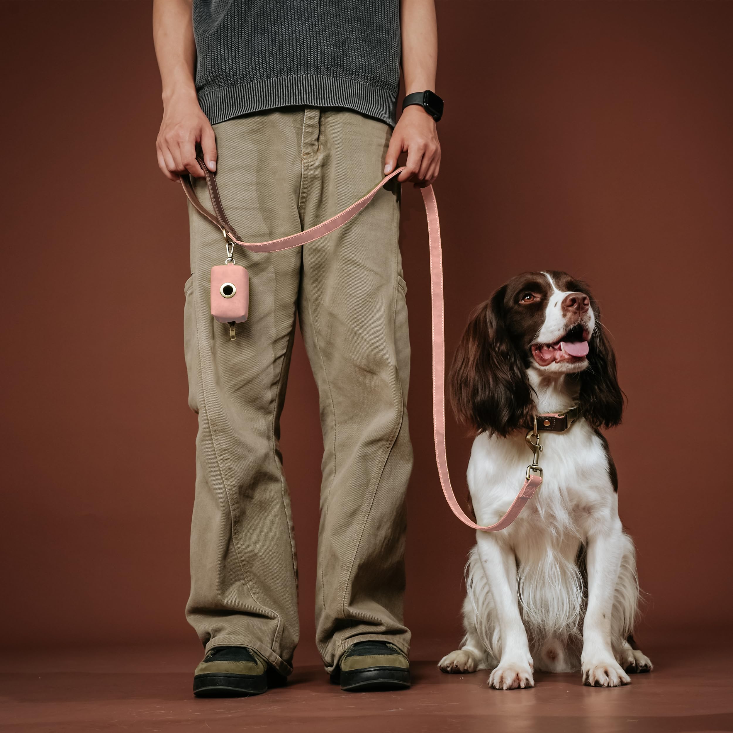 Didog leash featuring a 360-degree-clasp to prevent twisting.
