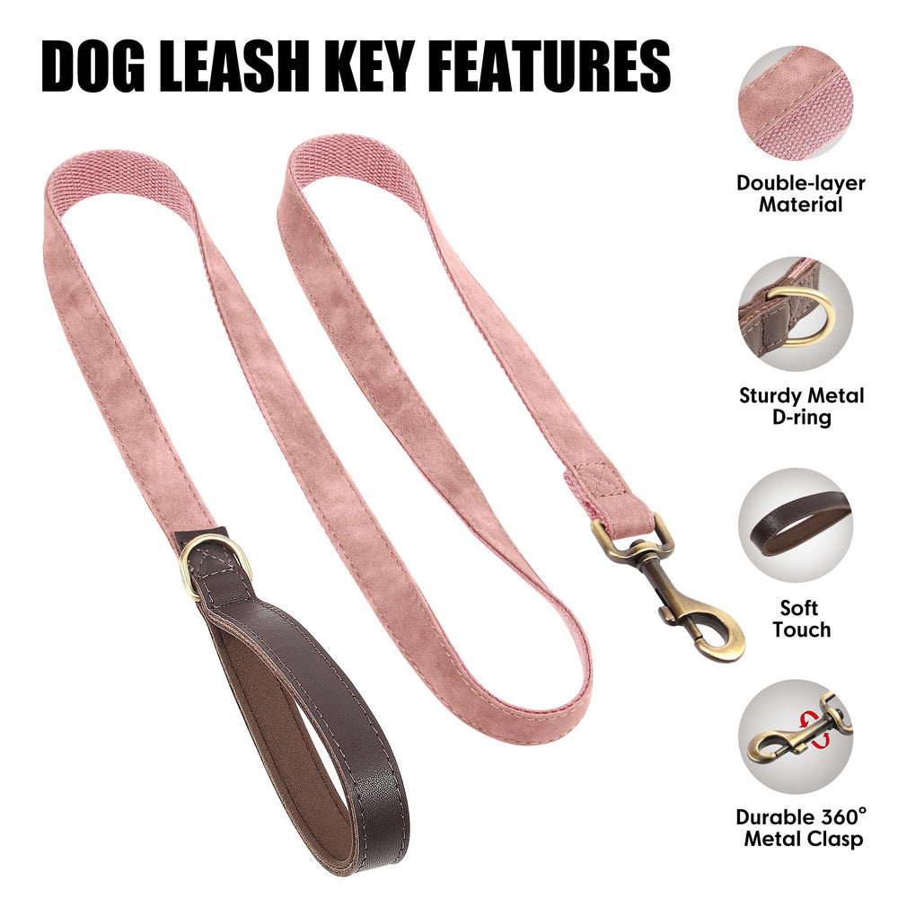 Didog leash at 4-5ft length offering gentle freedom with guidance.