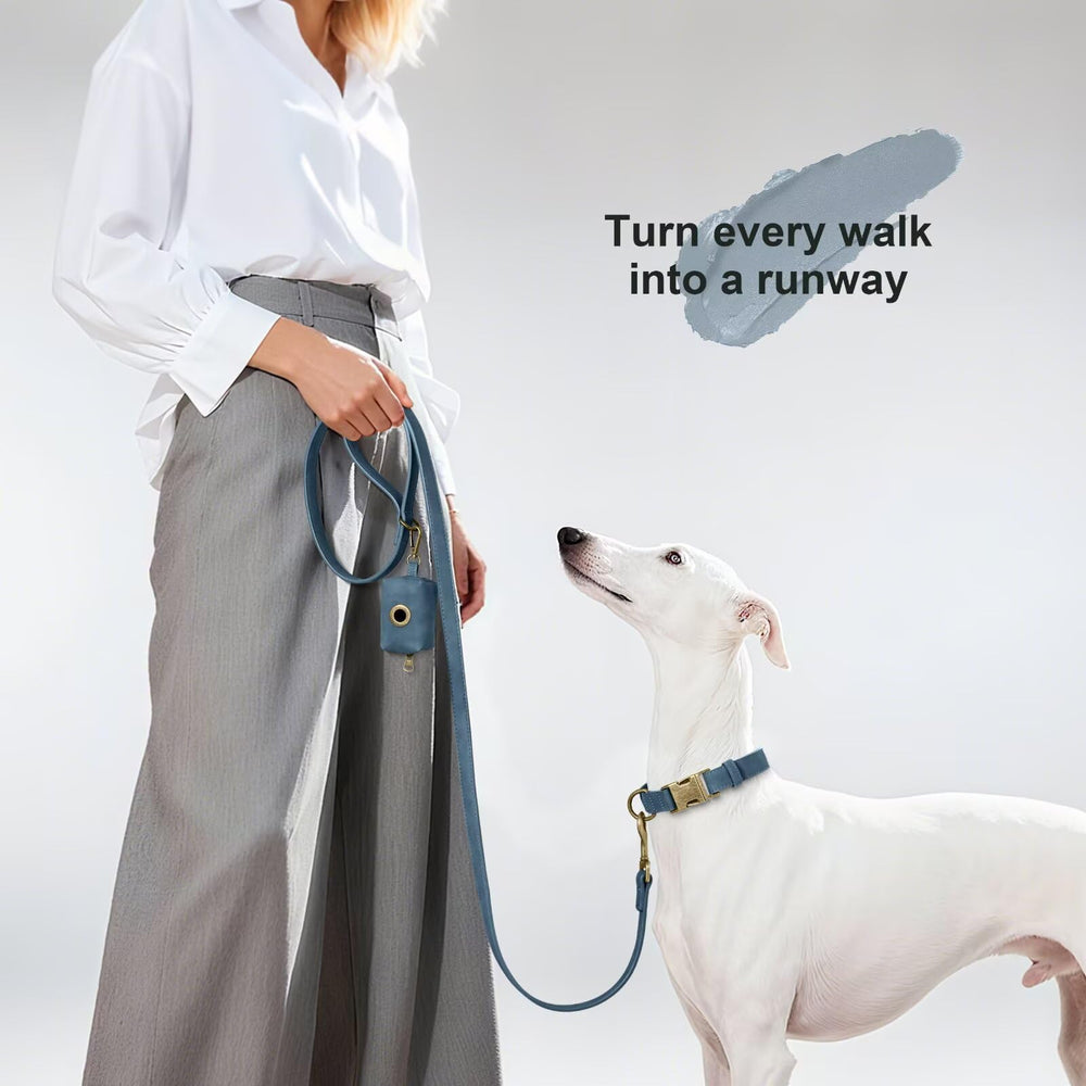 Didog PU leather leash easy clean surface for daily use