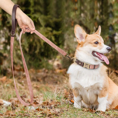 Didog leash showing faux-leather-outer and nylon-inside for light, durable control.