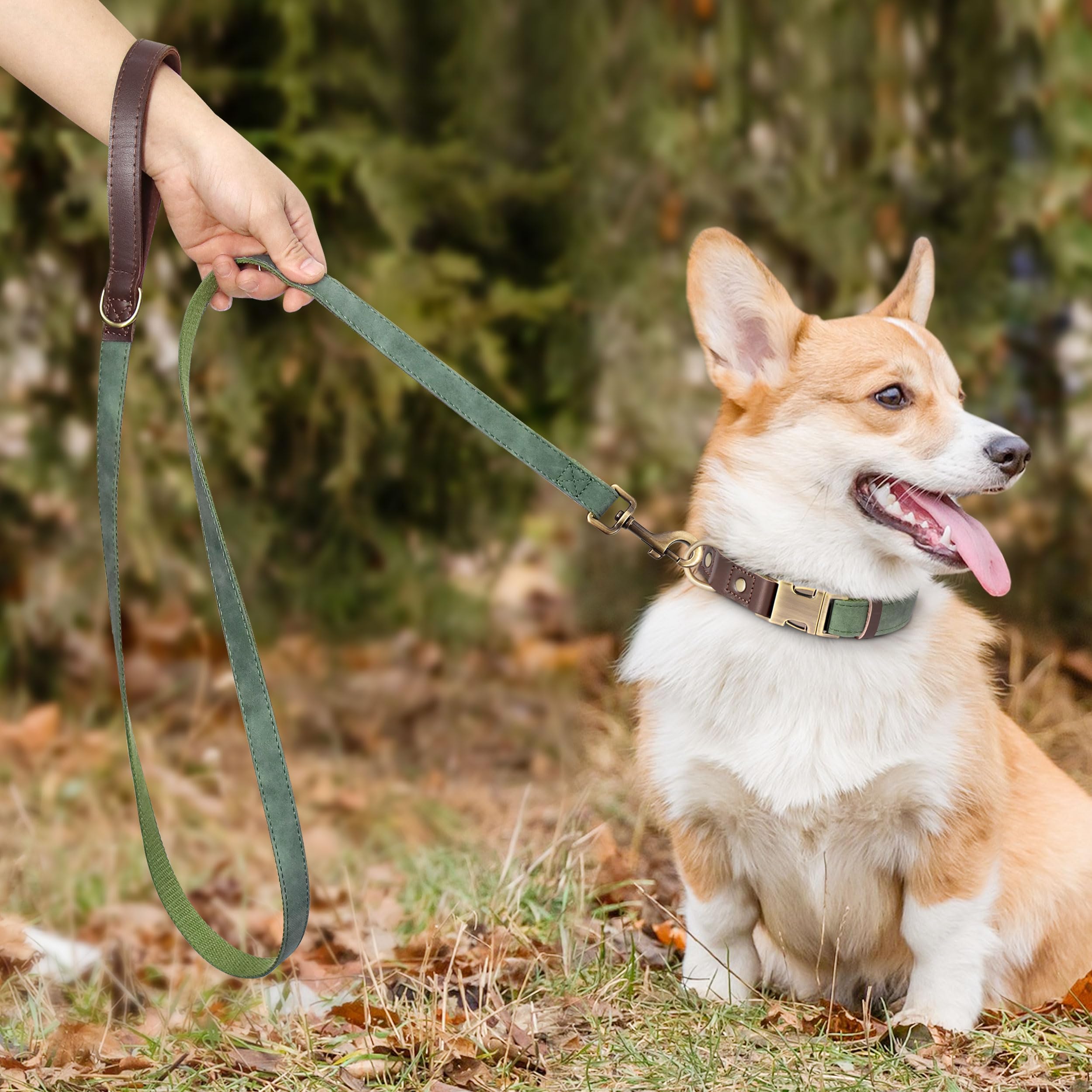 Didog leash with soft padded handle, green, reduces hand fatigue on long strolls.