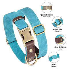 Didog quick-release buckle closeup, easy on/off for walks.
