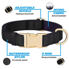 Didog quick-release buckle collar offering easy on and off