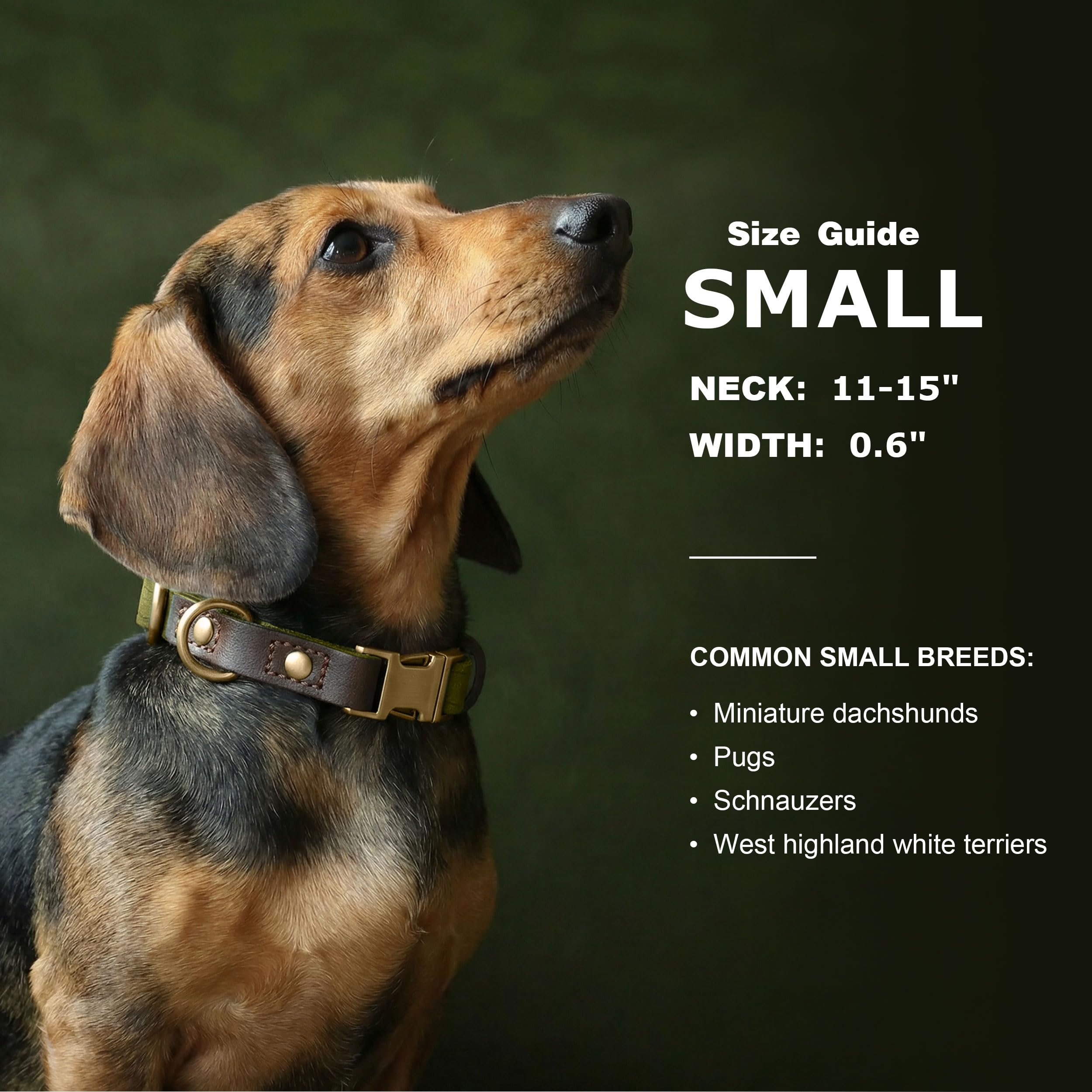 Didog quick-release buckle olive green collar for easy on off