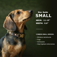 Didog quick-release buckle olive green collar for easy on off