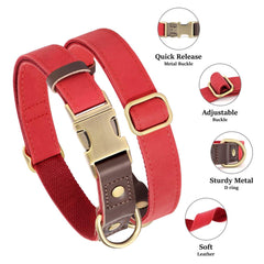 Didog red collar with quick-release buckle for easy on/off.