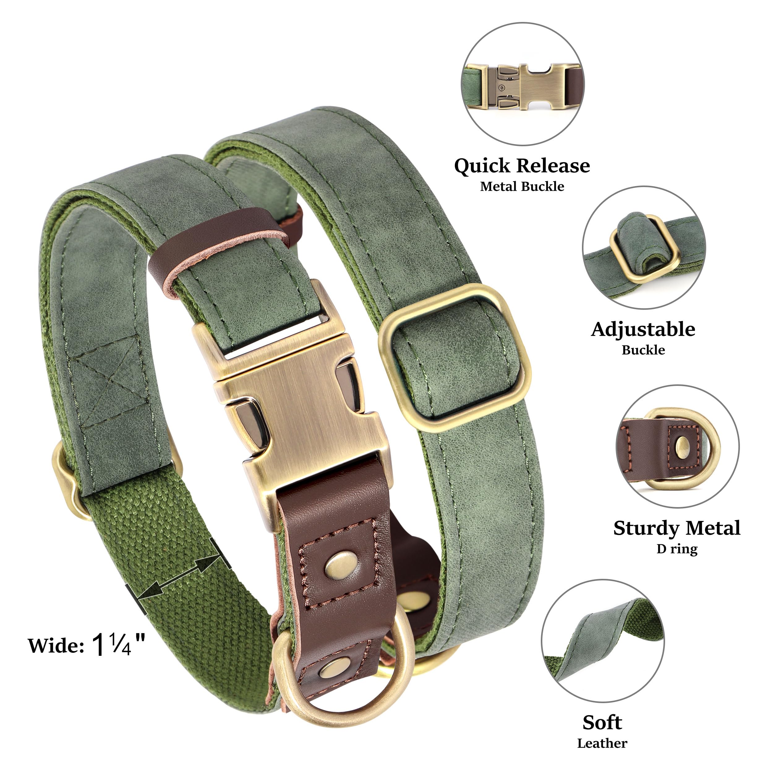 Didog quick-release buckle collar in green with XL neck, simplifies on-off during daily walks