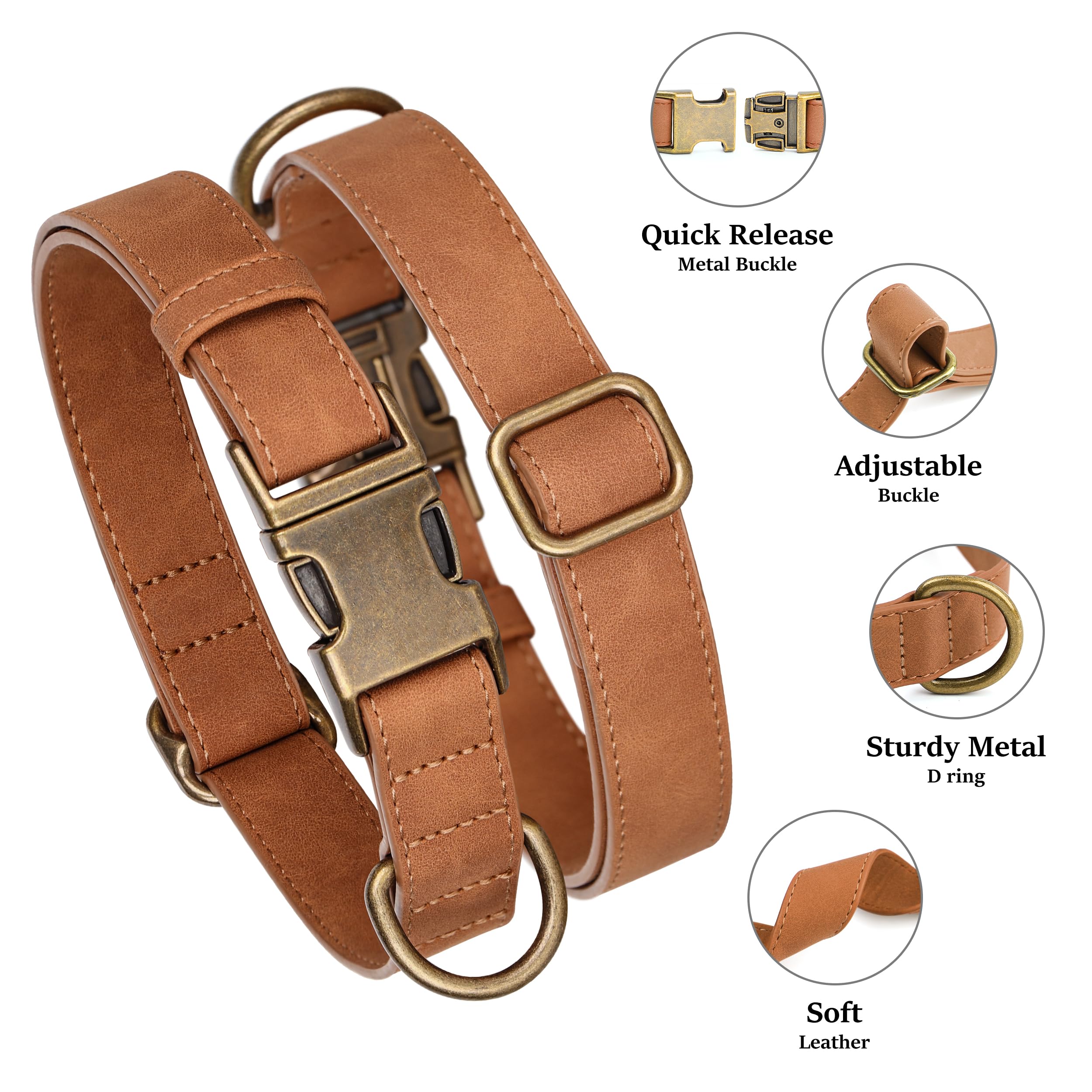 Didog quick-release dog collar, easy on and off for busy daily walks.