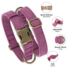Didog quick-release clasp collar for easy on off and daily adjustments.
