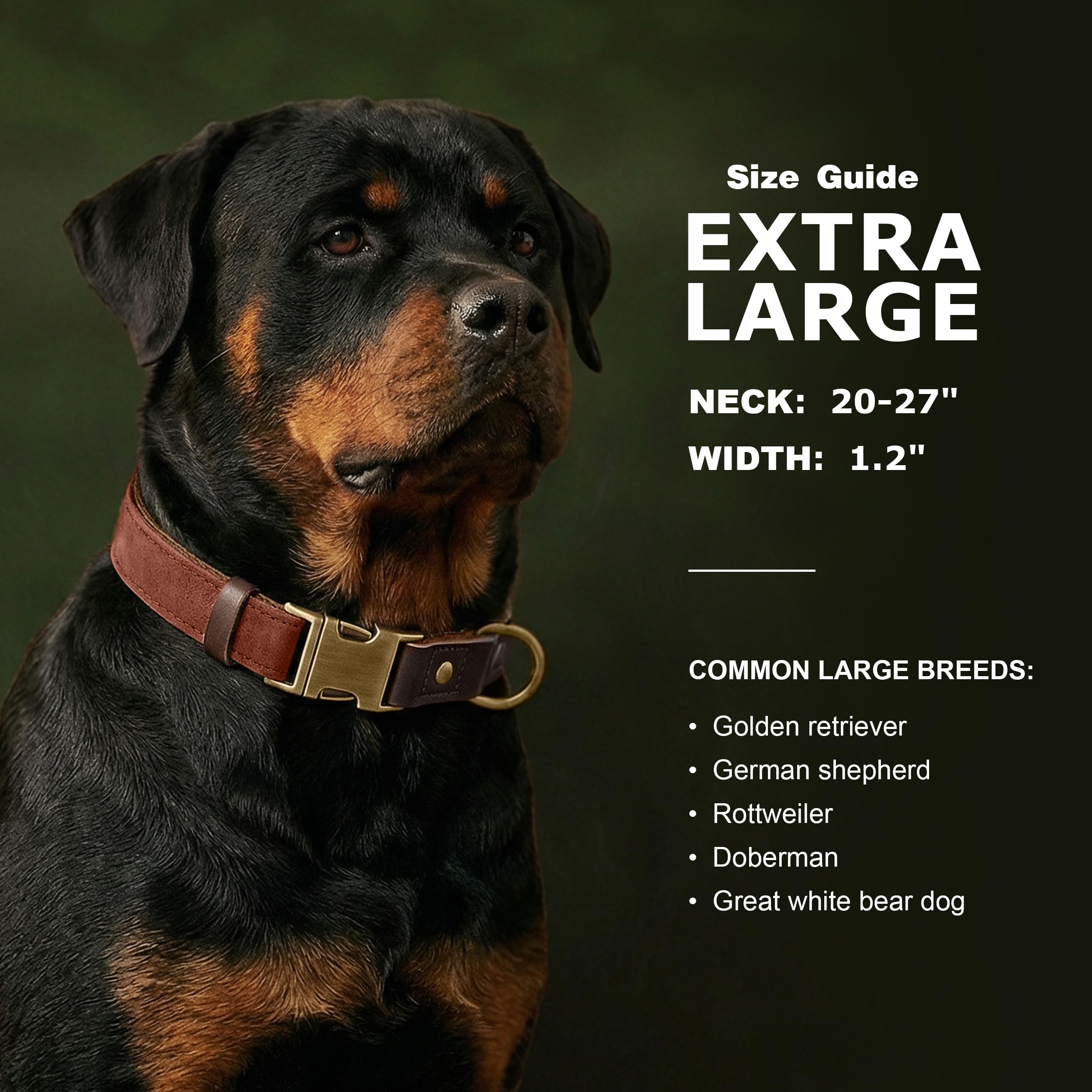 Didog quick-release metal buckle enables fast on-off