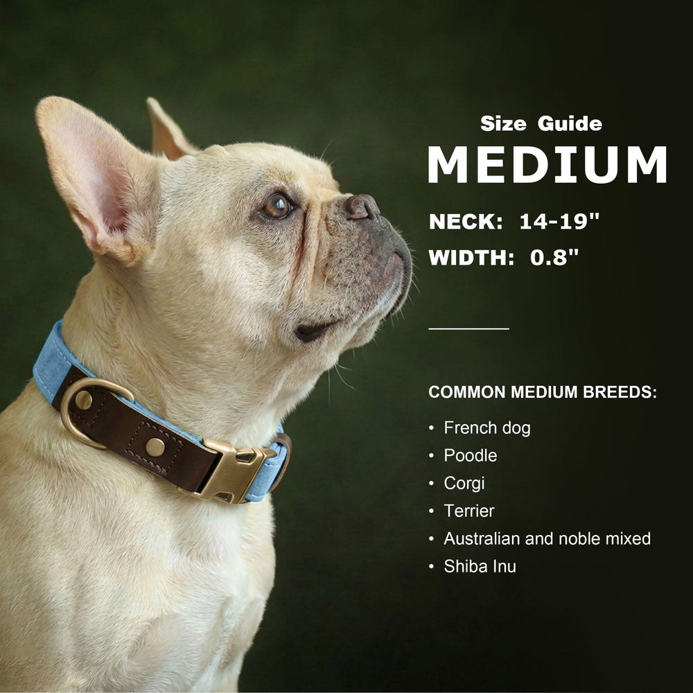 Didog quick-release metal buckle for easy on/off