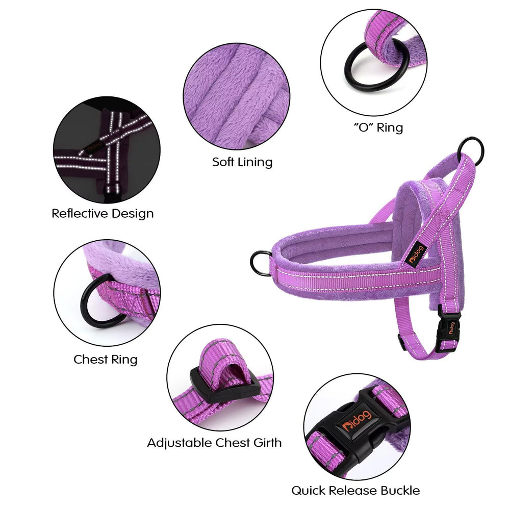 Didog reflective lines enhance night safety on evening strolls.