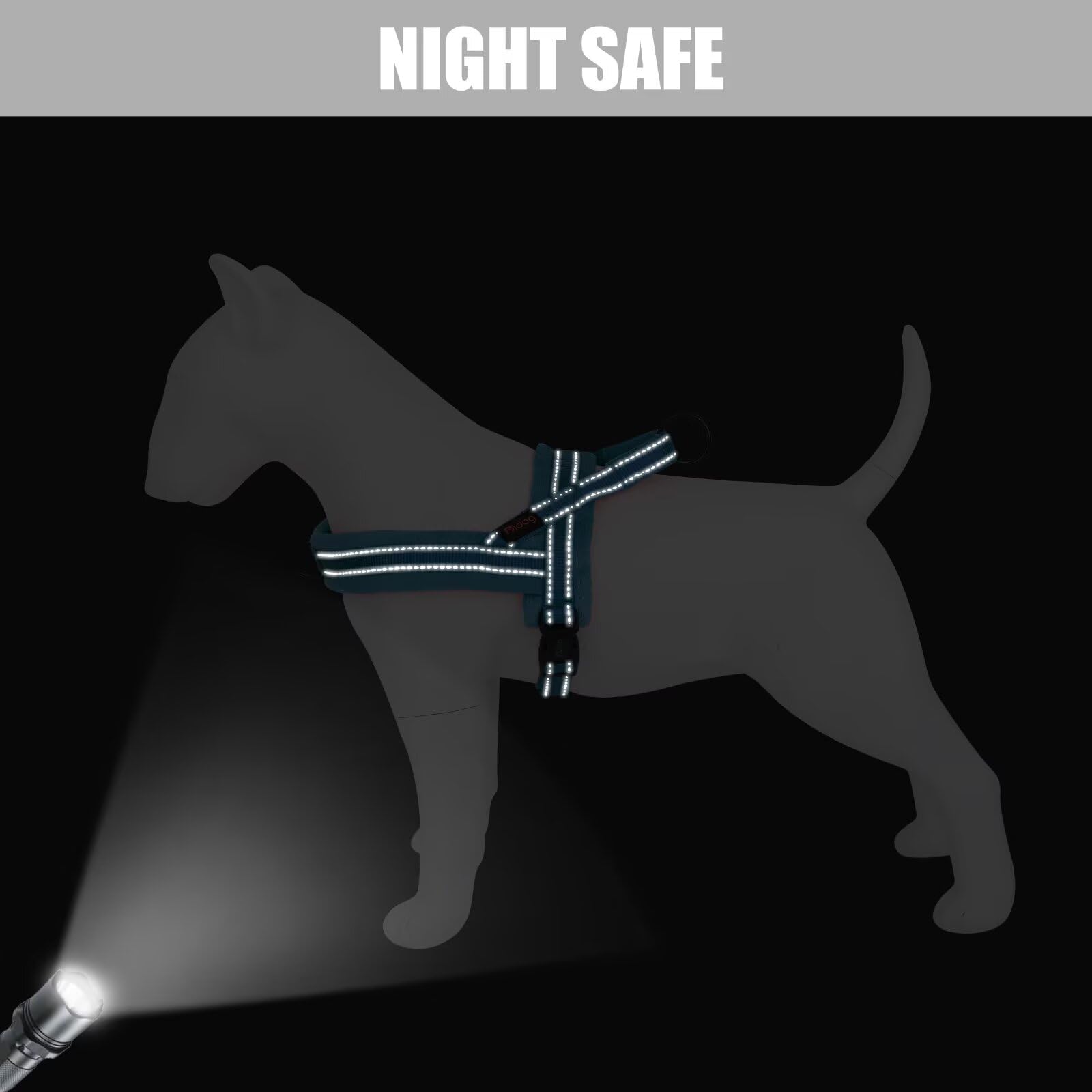 Didog reflective straps improve visibility during night strolls