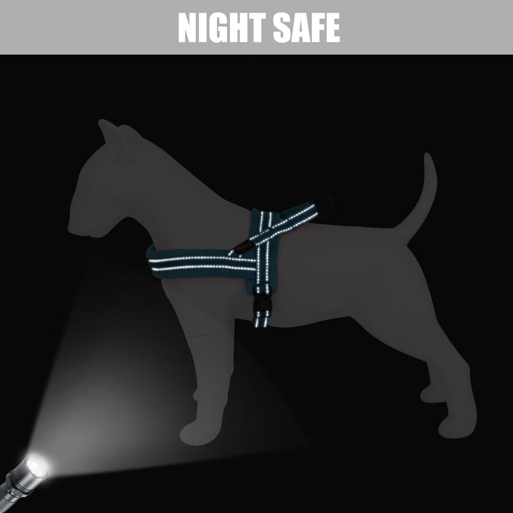 Didog reflective straps improve visibility during night strolls