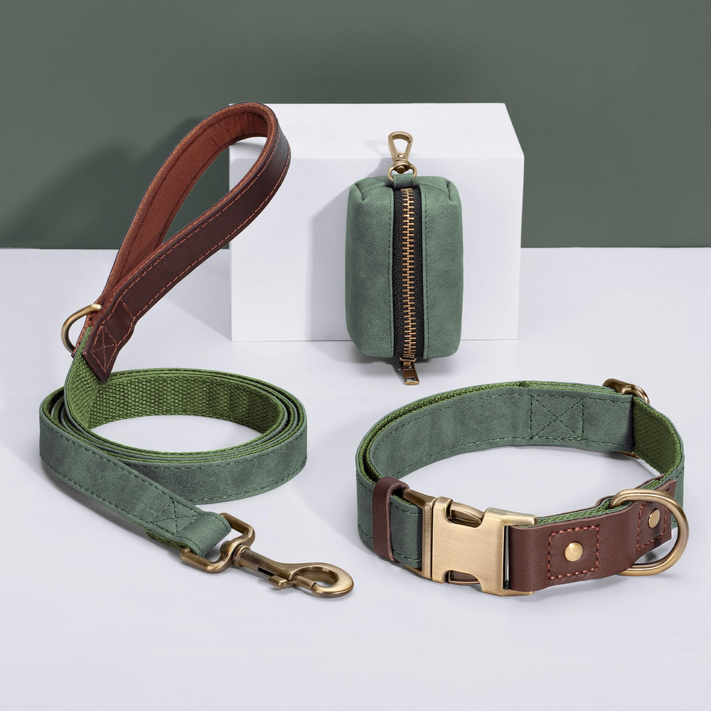 Didog rust-proof metal hardware on collar, green, for long-lasting use