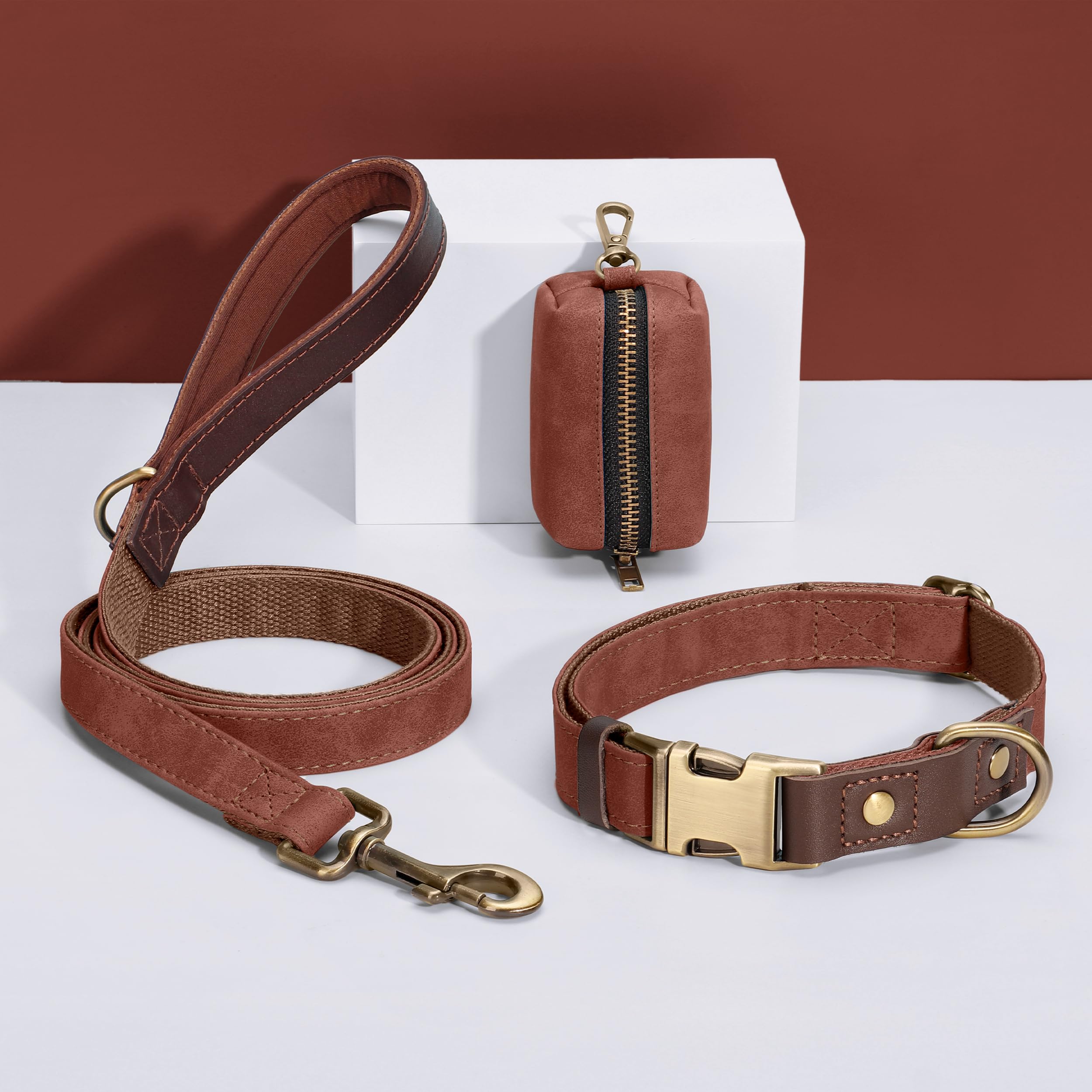 Didog rust-proof metal hardware on large dog collar