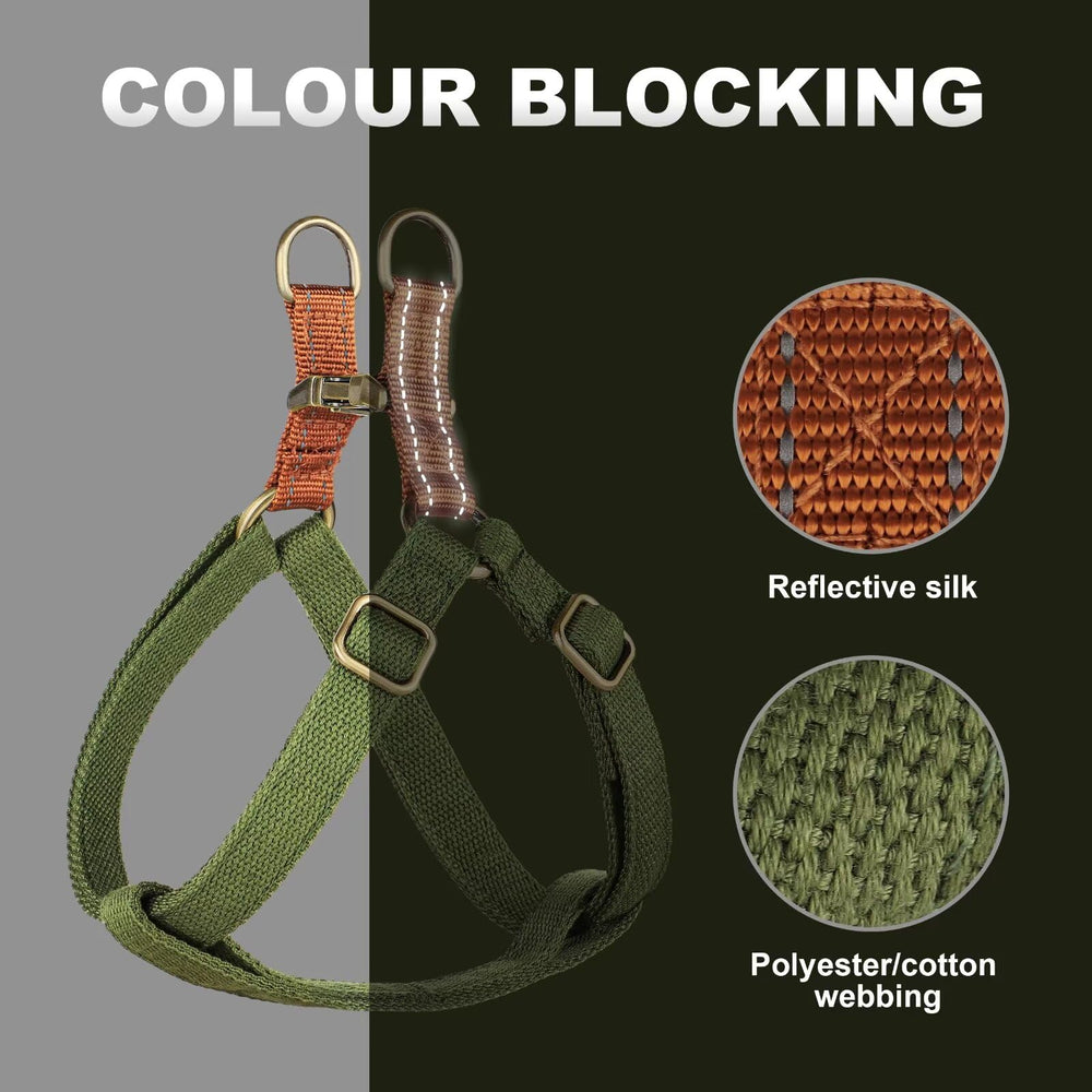 Didog harness showing secure adjusters and buckles for safety.
