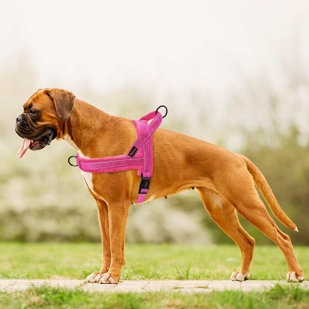 Didog size S chest 18-22 inches in bright hot pink
