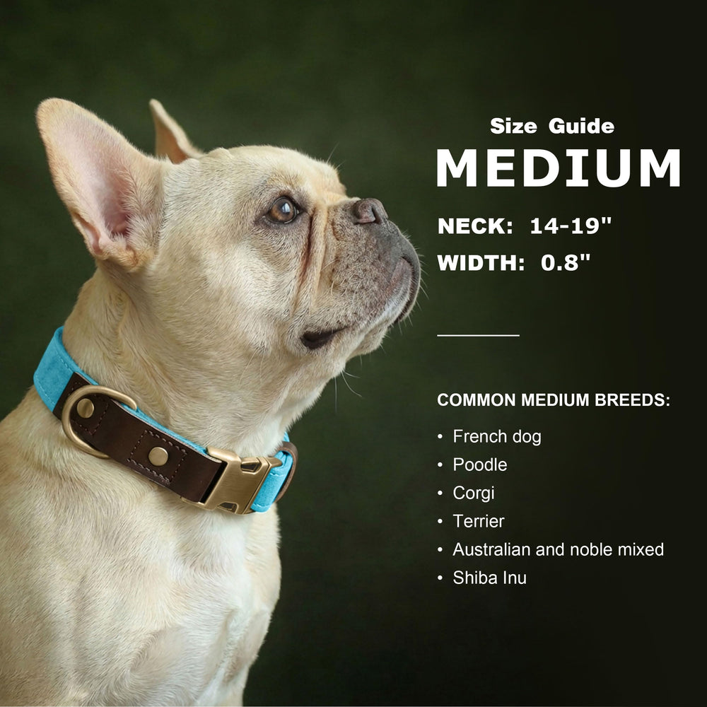 Didog skin-friendly nylon liner visible inside, gentle support during wear.