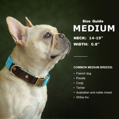Didog skin-friendly nylon liner visible inside, gentle support during wear.