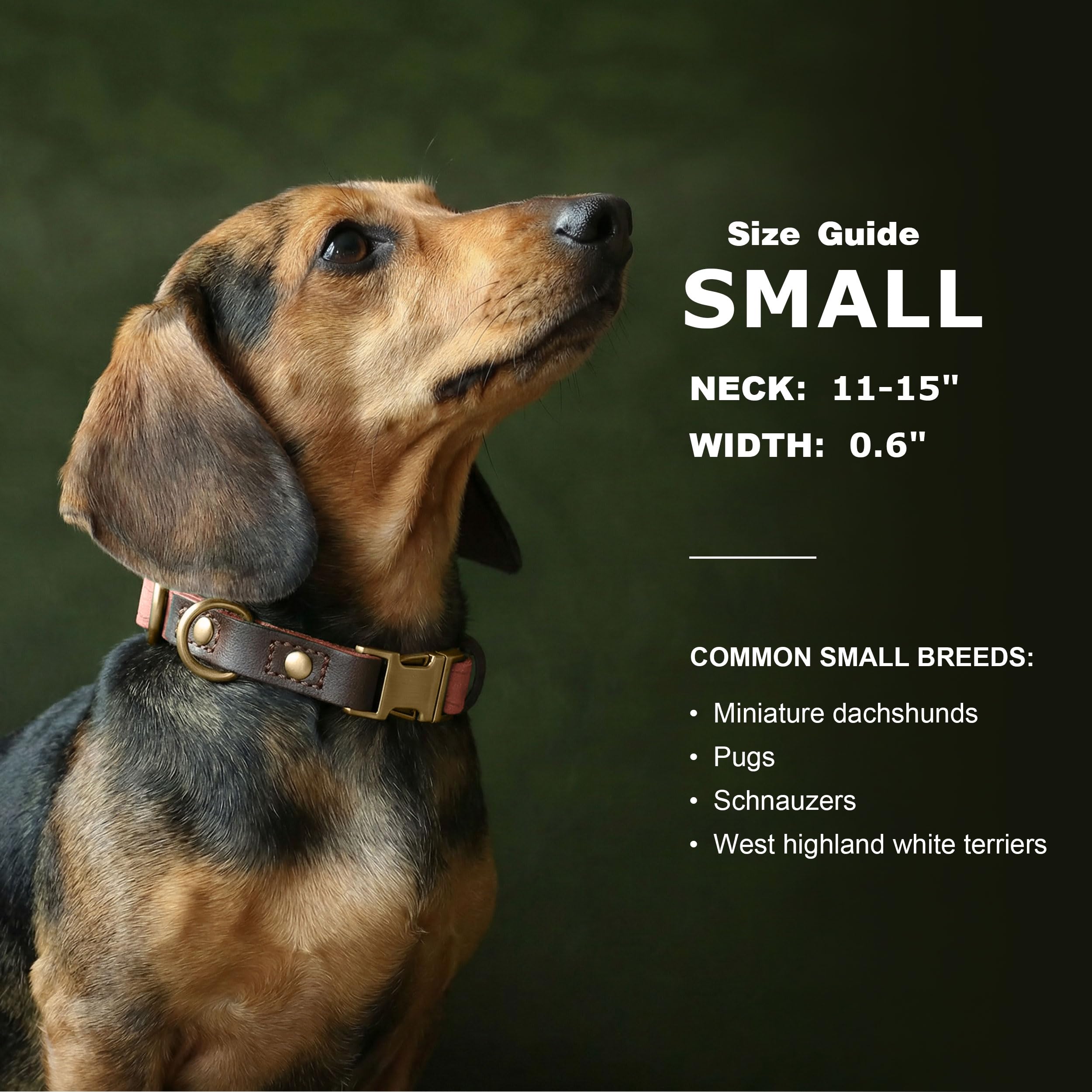 Didog collar featuring skin-friendly nylon lining for added comfort.