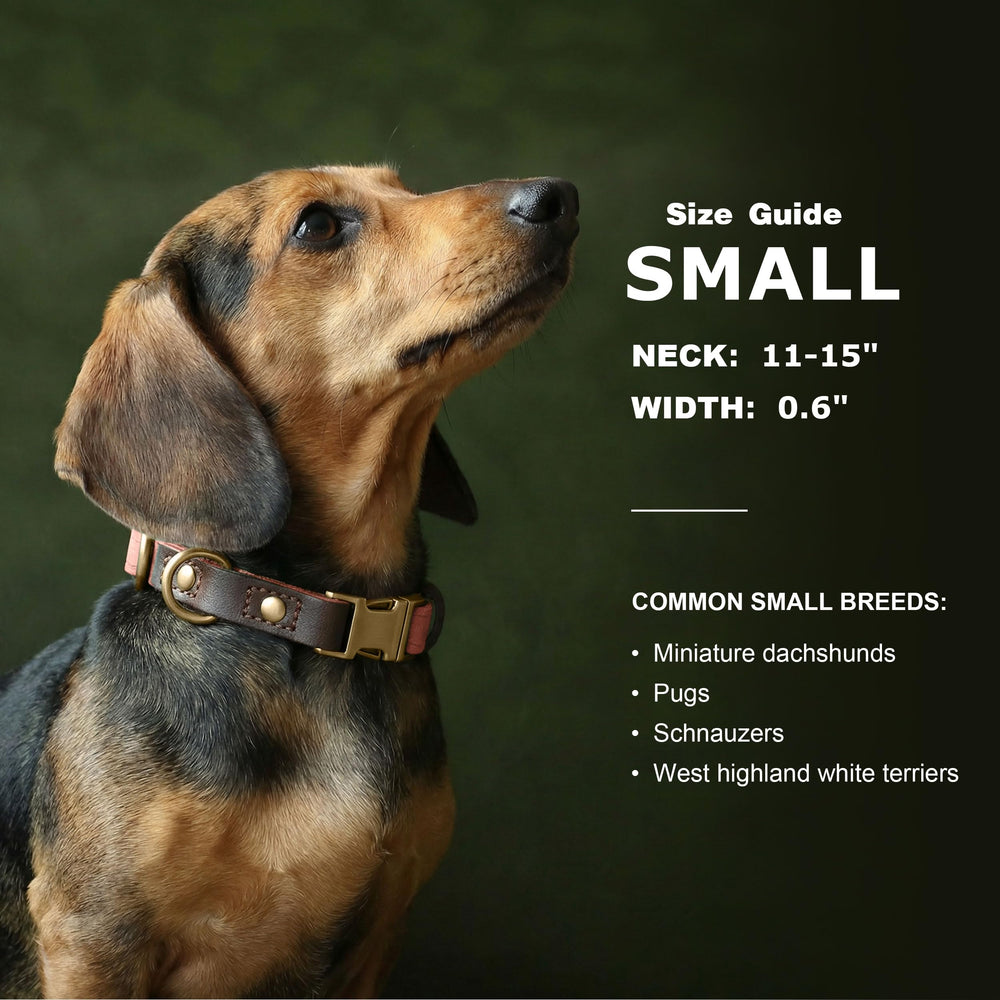 Didog collar featuring skin-friendly nylon lining for added comfort.
