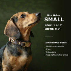Didog collar featuring skin-friendly nylon lining for added comfort.