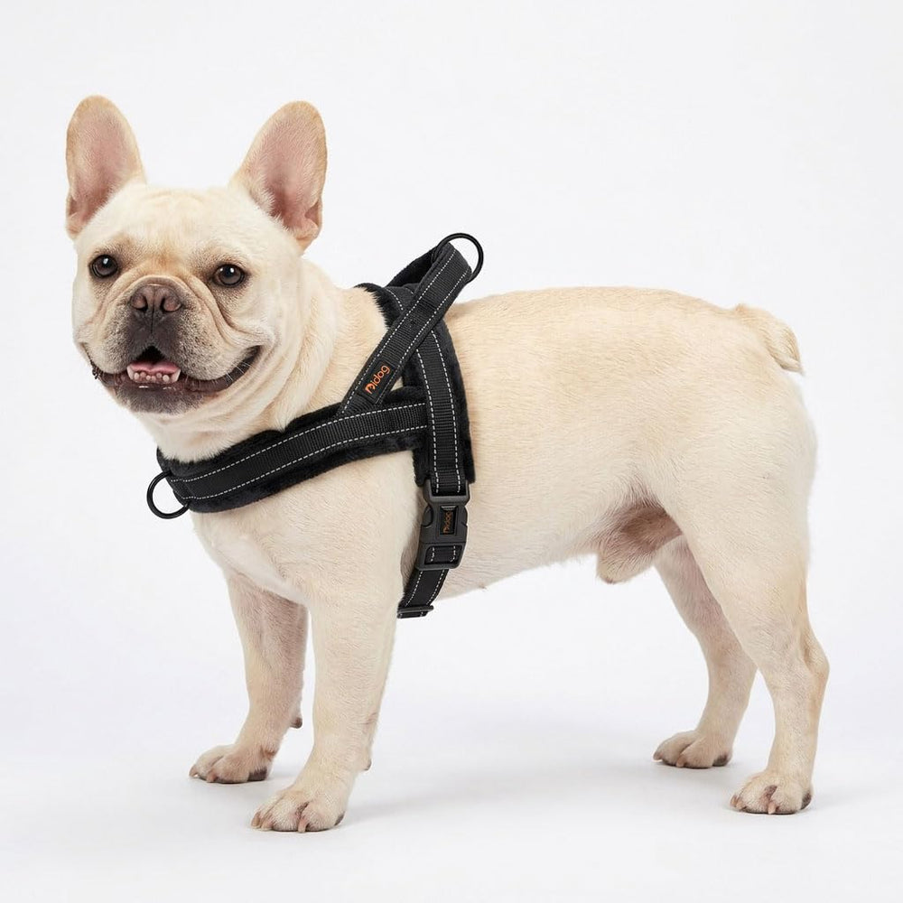 Didog padded chest strap provides gentle support and reduces chafing.