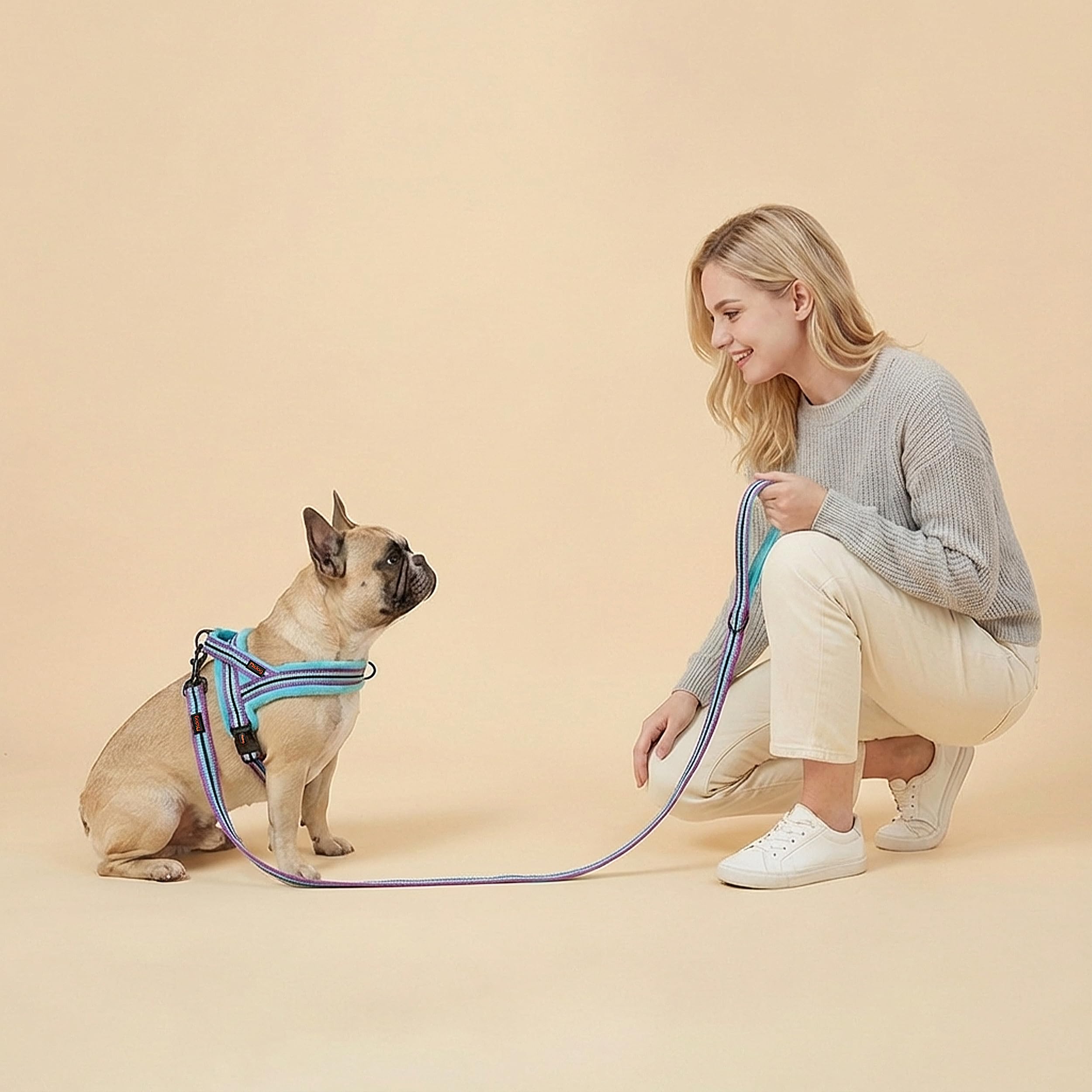 Didog size 18-22 chest fits medium dogs securely.