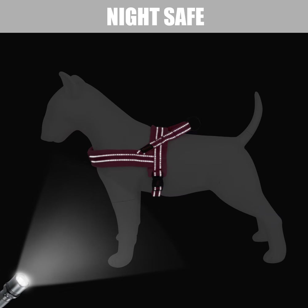 Didog neck pads cushion contact points for gentle pressure during training sessions.