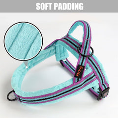 Didog padded neck and back pads increase comfort on walks.