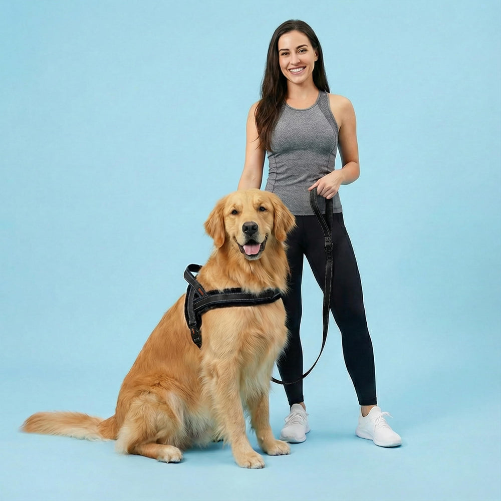 Didog harness enhances night safety with bright visibility.