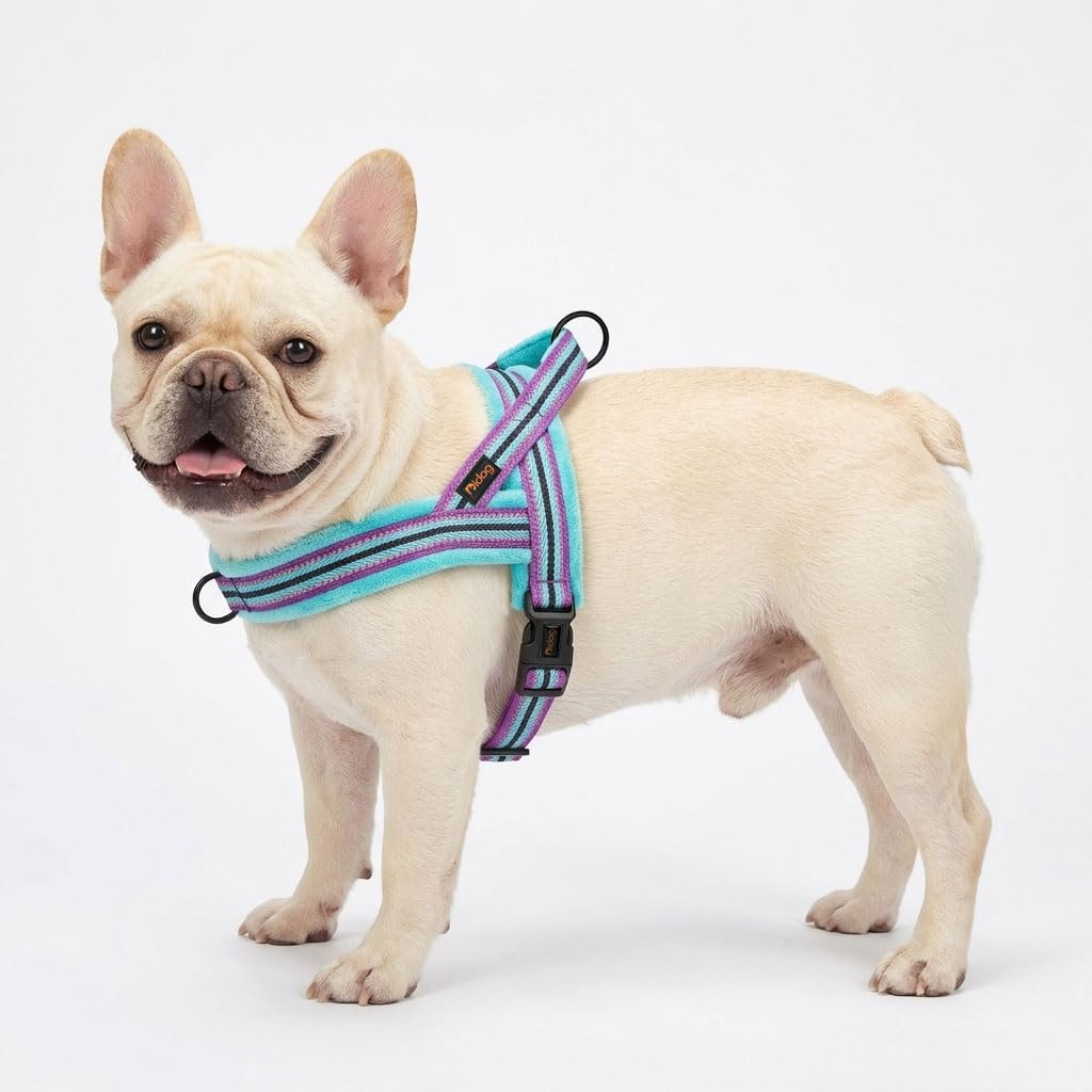 Didog harness quick-fit buckle for fast on/off during daily outings.