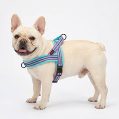 Didog harness quick-fit buckle for fast on/off during daily outings.