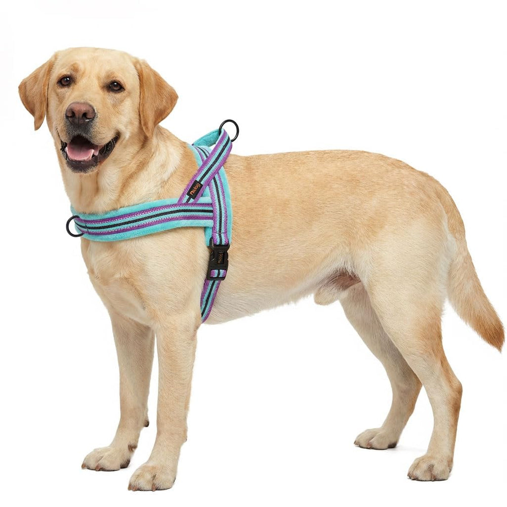 Didog harness quick-fit buckle enables easy on/off during walks.