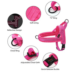 Didog quick-fit harness demonstrates fast on/off for busy mornings.