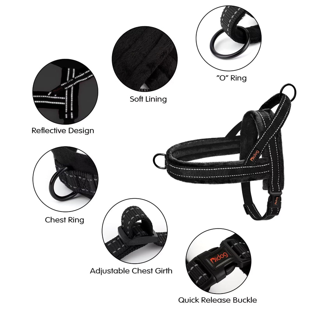 Didog reflective lines on straps boost visibility during night walks.