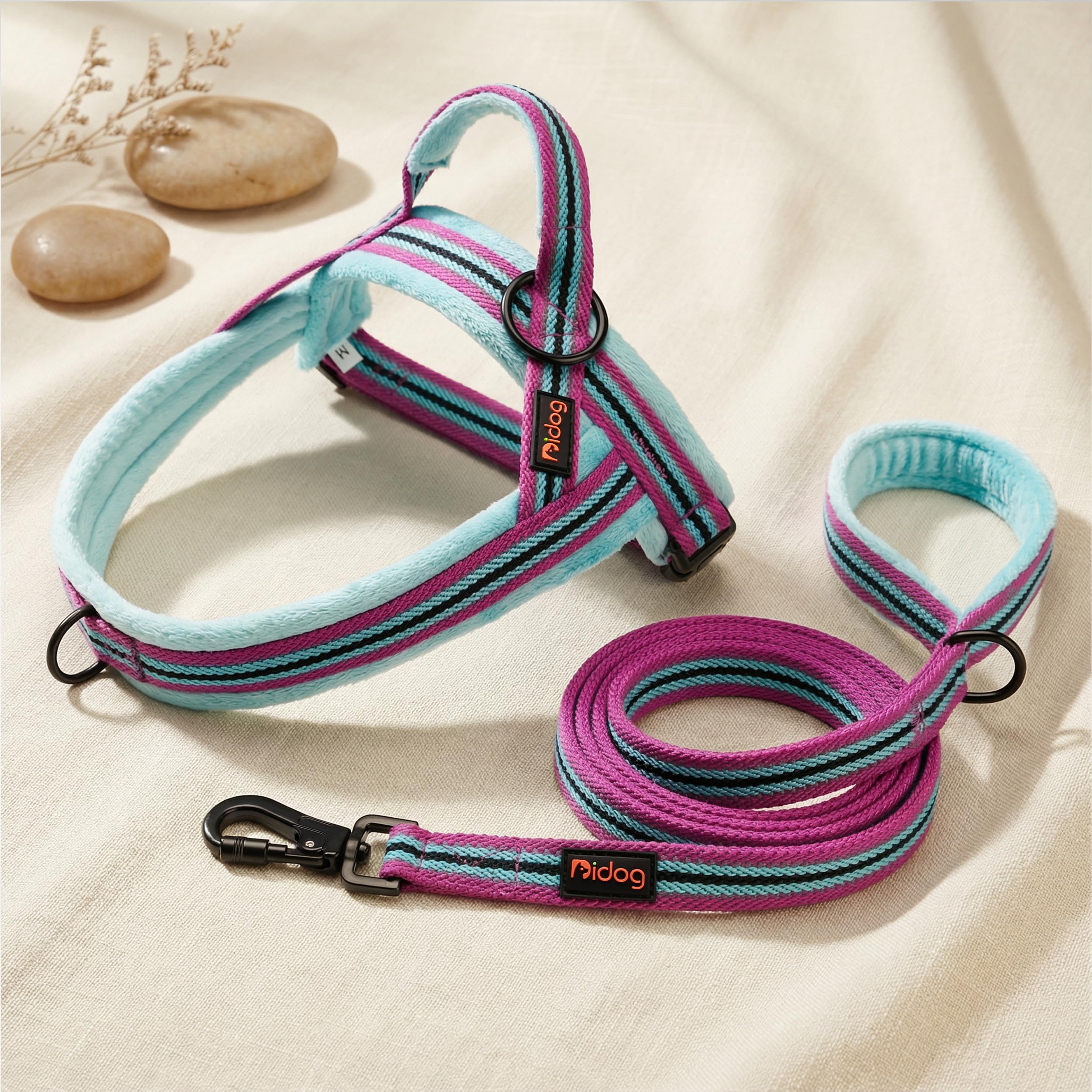 Didog blue mixed color adds stylish flair to walks.