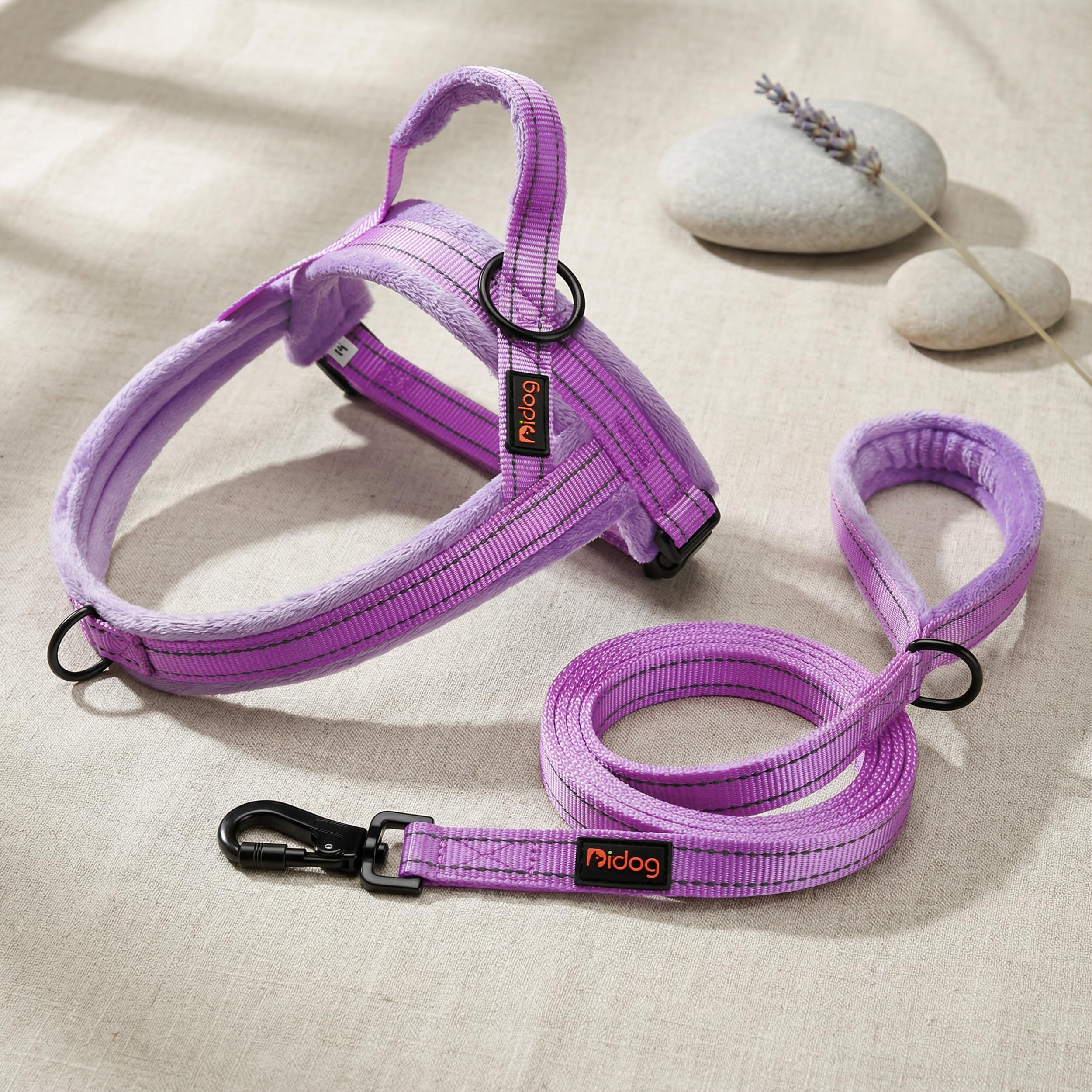Didog harness ideal for training walks and daily outings.