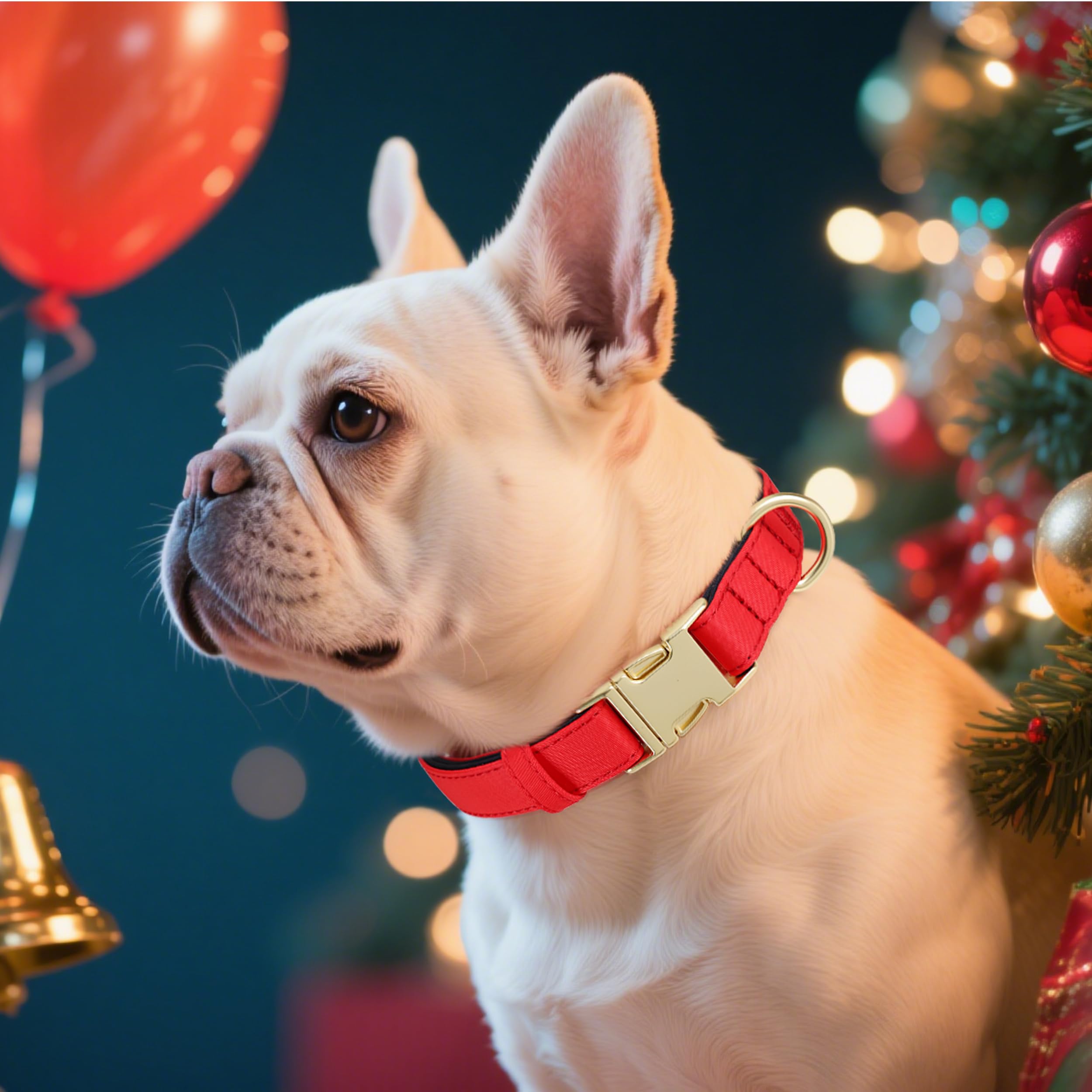 Didog pink collar adds cute style with lightweight comfort
