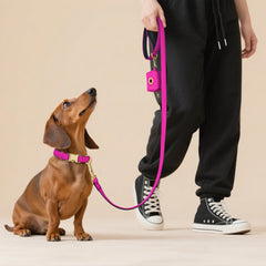 Didog soft padded collar mint green on dog, breathable comfort for daily activity.
