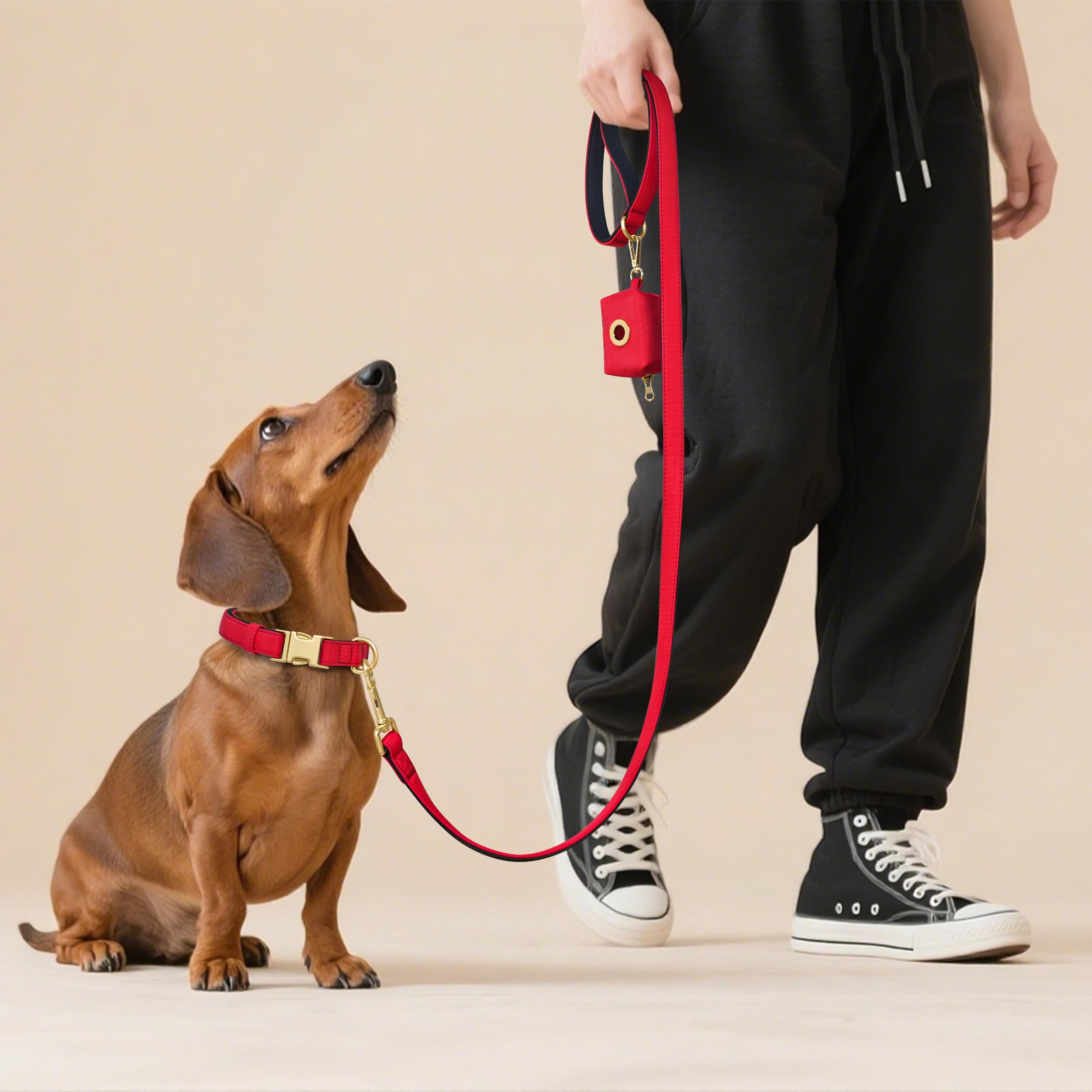 Didog mint-green collar keeps air flowing for all-day wear